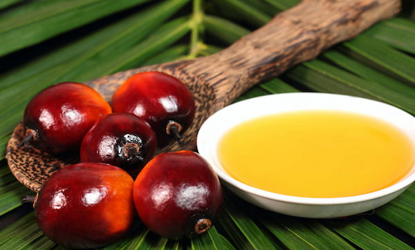 تصویر 2 از قیمت روغن هسته خرما فلاوینا + خرید باور نکردنی